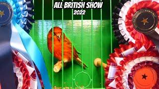 The NBBMC All British Bird Show - December 2022