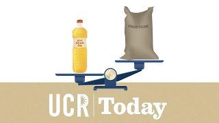 UCR Today: Soybean Oil causes more obesity than Fructose