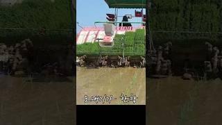 신동진의 명성은 계속되어야 한다~~ #신동진1