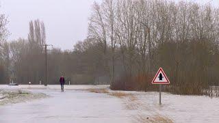 Freezing (songs from Liquid Days) | Philip Glass | theremin, harmonium, cello, volvo, etc.