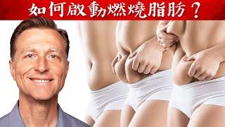 身體怎樣才會燃燒脂肪？5種簡單方法,柏格醫生 Dr Berg