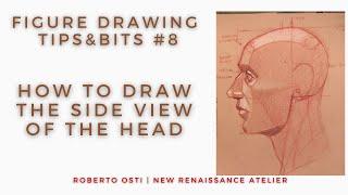 How to draw the side view of the head | Figure Drawing Tips'n Bits #8