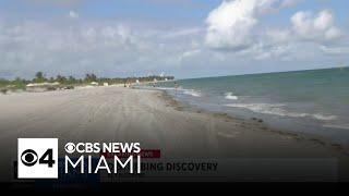 Human head found on Key Biscayne beach