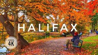 Colours of Fall  in Halifax Canada  | Downtown | Spring Garden | 4K Walking Tour | October 2024