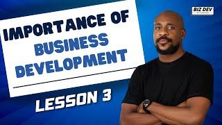 IMPORTANCE OF UNDERSTANDING BUSINESS DEVELOPMENT | LESSON 3 | MODULE 1 | BIZ DEV WITH NNANNA