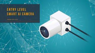 Entry Level Smart AI Camera 𝗩𝗶𝘀𝗶𝗼𝗻 𝗖𝗮𝗺 𝗔𝗜.𝗴𝗼