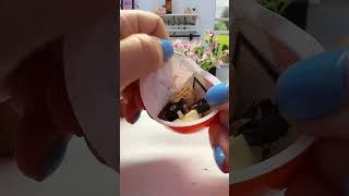 Unboxing a blind bag Funko Harry Potter Kinder Joy #unboxing #shortsviral #harrypotter #funko