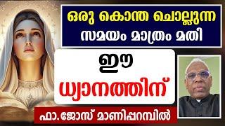 ഒരു കൊന്ത ചൊല്ലുന്നസമയം മാത്രം മതി.. ഈ ധ്യാനത്തിന് മാണിപ്പറമ്പിലച്ചൻ..