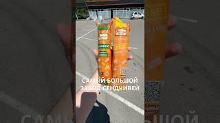Самый большой завод сендвичей в Алматы