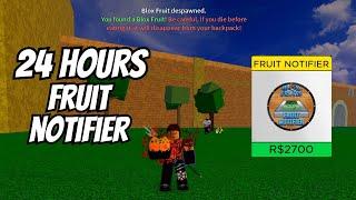 24 Hours of Fruit Notifier in Blox Fruits