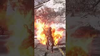 Best Transformations in Black Myth: Wukong