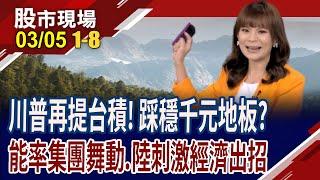 中美力拼經濟 彌平關稅衝擊?台積電1000元確定是地板價?能率練兵機器人衝漲停,跳一整年?｜20250305(第1/8段)股市現場*曾鐘玉(許博傑×黃紫東×盧昱衡)