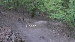 Back Home: MTB HOMETRAILS HAGEN/NRW