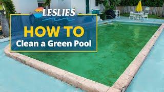 How to Clean a Green Pool | Leslie's