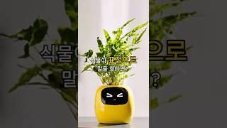 스마트 화분 #ai화분 #ai로봇