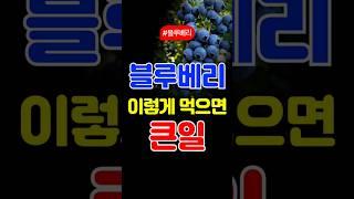 블루베리, 이렇게 먹으면 큰일납니다 #블루베리 #시니어건강 #냉동과일