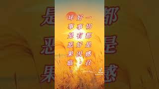 #感悟 #因果循環 #分享 -0921