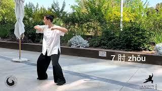 Chen style Taijiquan Basic 13 Postures Form - Taiji workshop at China Cultural Center with Talia Kav