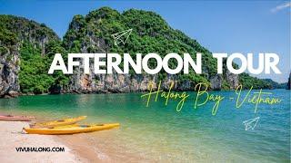 [Afternoon cruise] on Halong Bay, 4-hour tour