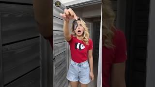 How to remove insects from house