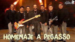 HOMENAJE A PEGASSO - LOS MAS ROMANTICOS