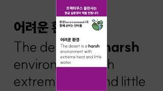 environment와 함께 쓰이는 단어들 #콜로케이션 #프랙티쿠스 #중급영어 #collocation