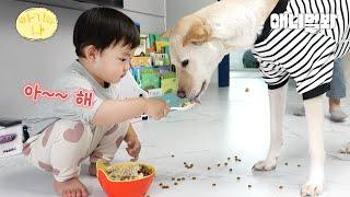 반전매력 아기가 대형견 밥 먹이는 법(엄마는 환장ㅋㅋㅋ)ㅣHow A Baby Feeds A Large Dog(Mom Goes Crazy Lol)