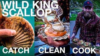 FORAGING FOR OUR FOOD!!!  | Free Diving West Coast Scotland | Wild Food