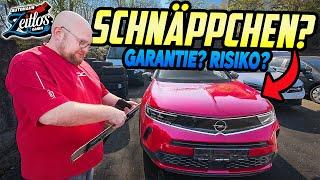 Neue FAHRZEUGE für das Autohaus! - Opel Mokka Elektro - ALLTAG als Autohändler!