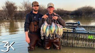 Wading for Giant Mississippi Crappie | Solo Limit In The Ironwoods