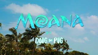 Doug The Pug - Moana