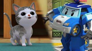 I Have a Cat│Learn about Safety Tips with POLI│Cartoon for Children│Kids Cartoons│Robocar POLI TV