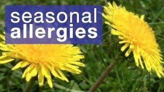 How to reduce seasonal allergies