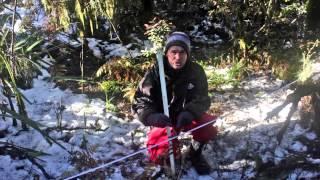 How to do a line transect