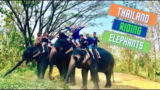 Riding Elephants in Thailand!!!