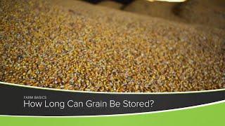 How Long Can Grain Be Stored? - Farm Basics