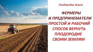 Как в поля ВЕРНУТЬ ПЛОДОРОДИЕ  и  убрать подплужную подошву №678/24