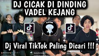 DJ CICAK CICAK DI DINDING VADEL TREND DANCE VADEL | RYAN WDF X DJ NASA X VINSKY VIRAL TIKTOK TERBARU