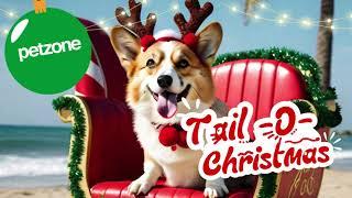  Festive Fun for All Pets at Petzone! 