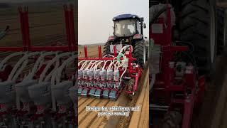 A new Chinese tool |Dashun leafy vegetable seeder.#agriculture #machine #factory #sourcefactory