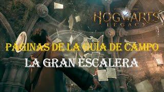 Hogwarts Legacy - Guía 100% - Todas las Páginas de la Guía de Campo de la Gran Escalera