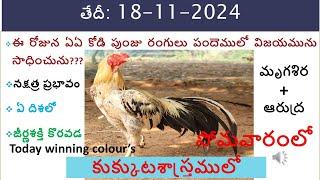 18 Nov 2024 today winning colours/Today winning colours/vision of kukkuta sastram in colours update