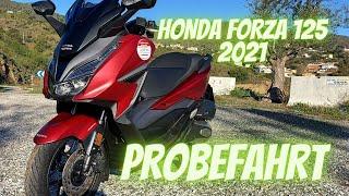 DER NEUE Honda Forza 125 (2021)  Probefahrt, Soundcheck, 0-100 km/h | (DEUTSCH/GERMAN) VLOG127 [4K]