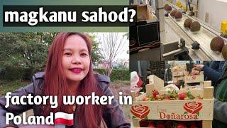 MAGKANO ANG SAHOD SA POLAND?|| FACTORY WORKER #factoryworkerpoland