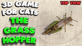 3D game for cats | CATCH THE GRASSHOPPER (top view) | 4K, 60 fps, stereo sound