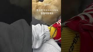 삼수니 콧소리 들어보기