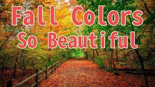 OMG! Fall Colors are So Beautiful in Canada