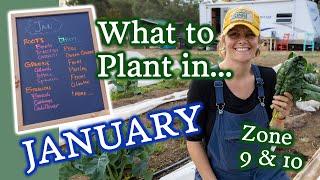 January Planting Guide for Zone 9 + 10 Gardeners & Winter Growing Tips