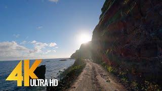 Road to Hana. Part #2 - 4K 60 fps Scenic Drive Video (with Music) 3 HRS - Hawaii, Maui