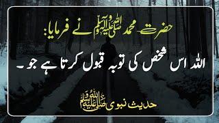 Hadees E Nabvi in urdu || Hadees Sharif || Hadees || Hadith || ISLAMIC HADEES|| Nabi ki baatein